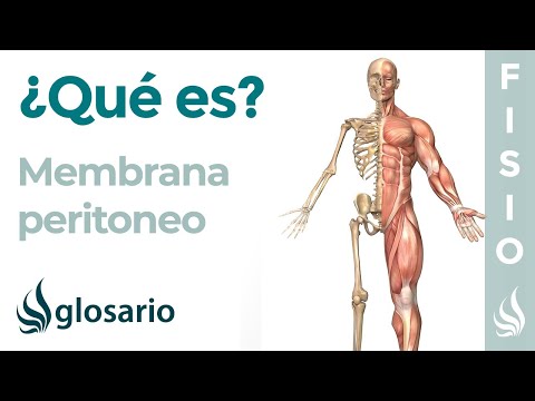 Video: ¿Por qué es importante el peritoneo?