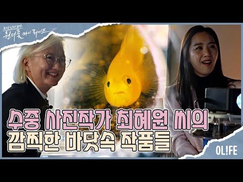 바닷속 작은 생물들의 아름다움, 자연을 생각하게 만드는 작품들  I 원더풀 마이 라이프 I EP39 I 매주 수요일 저녁 8시 30분