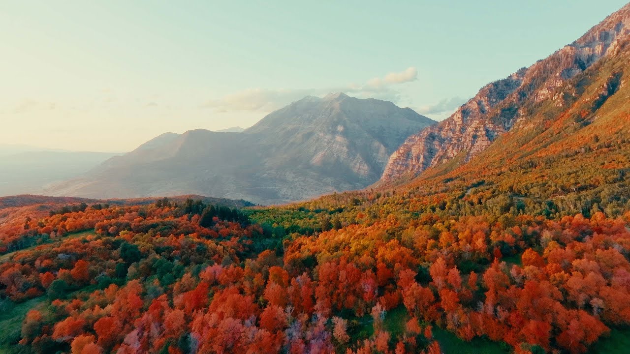 Fall colors for destination leadership offsites