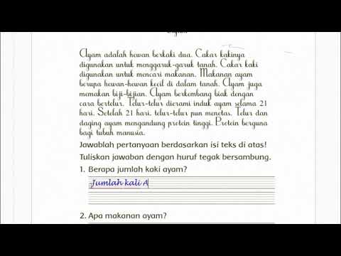 Berapa Jumlah Kaki Ayam
