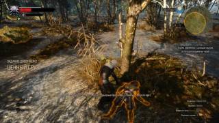 Test Witcher 3 FX6300 and R9 380