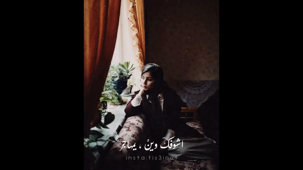 طرب عراقي || حاتم العراقي اشوفك وين يا مهاجر 🎵🎻