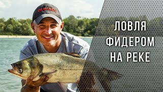 Ловля фидером на реке Дон Ловля фидером на реке Дон