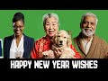 People Wishing Happy New Year From around the world | Green Screen Videos | Free Download | 2026