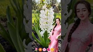 Sầu thương #shortvideo #nhacbolero#tamtrang