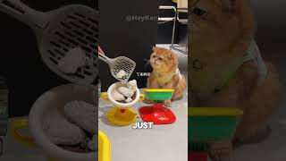 He Felt Betrayed