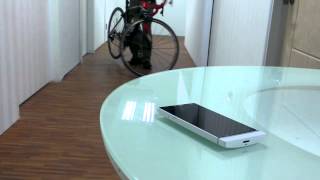 Demonstration Of How Lingdang Dont Take Alarm You When Someone Else Is Moving Your Bike Away