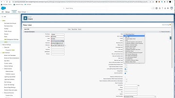 Create a New User in Salesforce Lightning.