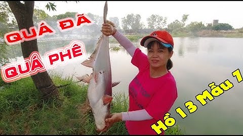 Câu Cá Tra Hồ 13 Mẫu 7 Quá Đã Quá Phê | Hồ Câu Cá 13 Mẫu 7