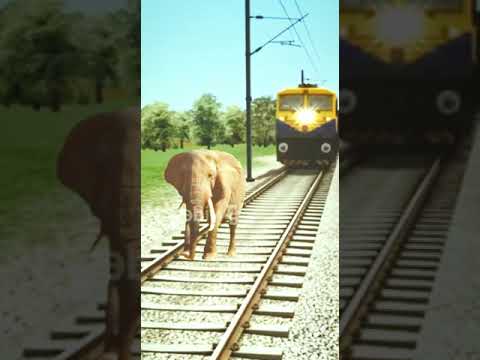 Funny Vfx Magic Train Video In Elephant Vs Cobra And Shorts YouTube