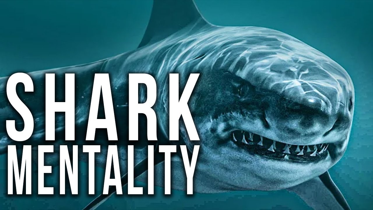 Shark Mentality