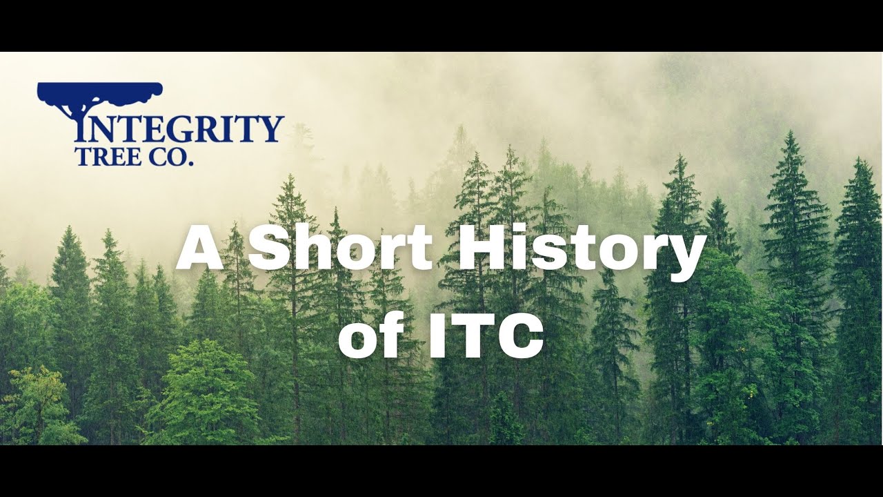 A Short History of ITC