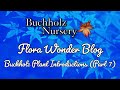 Flora Wonder | Buchholz Plant Introductions (Part 7)