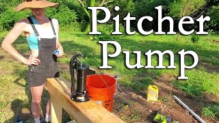 Why Depth Matters - Tractor Supply Pitcher Pump Installation & Results