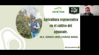 Agricultura regenerativa en el cultivo de aguacate, Webinar de AVOCOMUNIDAD.