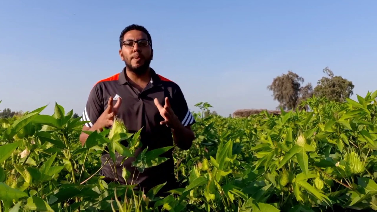 1- همزة القطع وألف الوصل صرف الثانوية الأزهرية