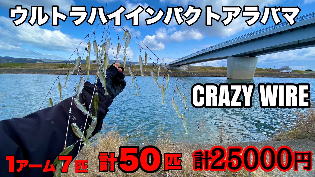 けいた様 Super School of Fish Rig] 19 fish? No, no, the times are 50 fish
