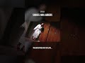 The Most Terrifying Home Invasion 🔪 Watch If You Dare!