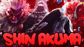 (BOSS RAGE) SHIN AKUMA DESTROYED ME...