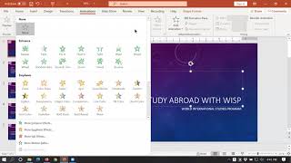 PowerPoint Module 4 HW guide Wealth