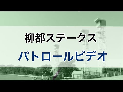柳都ステークス　2020 パトロールビデオ　(ブランクエンド) パトロールビデオ