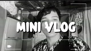 Mini Vlog | Um Dia Comigo