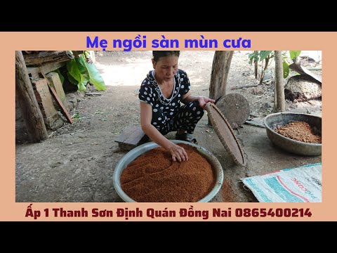 Video Mẹ ngồi sàn mùn cưa - youtube