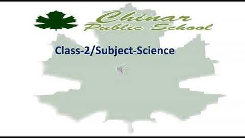 Science- class - 2, Chapter-7 Safety Rules