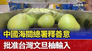 中國海關總署釋善意 批准台灣文旦柚輸入