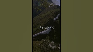 مريم - الآية ٣٣ وَٱلسَّلَـٰمُ عَلَىَّ يَوْمَ وُلِدتُّ وَيَوْمَ أَمُوتُ وَيَوْمَ أُبْعَثُ حَيًّا