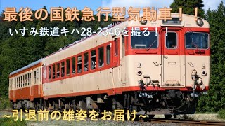 【最後の急行型気動車】いすみ鉄道キハ28　撮影記録