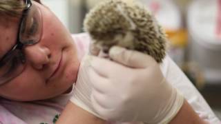 Animal Science | TPS Career Tech