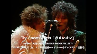 The Street Sliders「カメレオン」（from 天国と地獄 LIVE AT BUDOKAN 1987）2024年1月26日（金）14日連続ロードショー_アップリンク吉祥寺