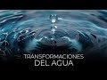 Anciano Edvin Ortega │ Transformaciones Del Agua │ martes 26 julio 2022