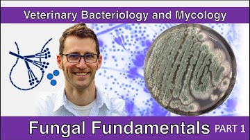 Fungal Fundamentals (Part 1) - Veterinary Bacteriology and Mycology