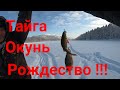 В ТАЙГУ НА РОЖДЕСТВО!!!/ ОКУНЬ И ЩУКА НА ЖЕРЛИЦЫ!!!/КАПКАН НА СОБОЛЯ!!!/ЗАЧЁТНАЯ РЫБАЛКА!!!