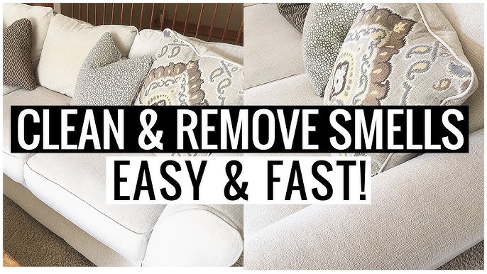 How to Clean Couch Cushions