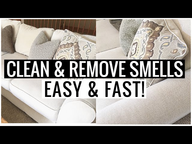 How to CLEAN COUCH and REMOVE ODORS!! Dog, Pet, Smoke (CHEAP & SO EASY!!! )