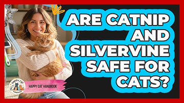 Are Catnip And Silvervine Safe For Cats?