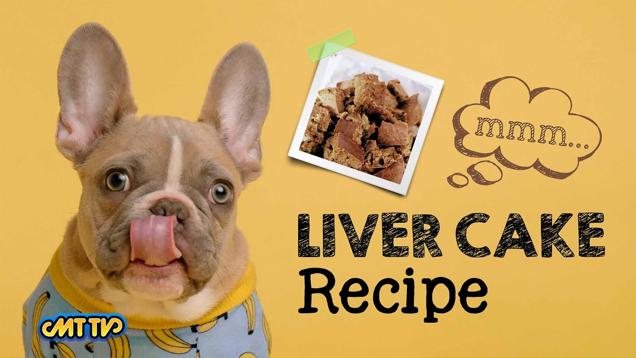 Liver Cake for Dogs Recipe MT TV YouTube