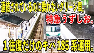 【1日1往復だけ残ったキハ185系運用】特急うずしお32号に乗ってみた【連結されているのに乗れないグリーン車】