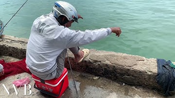 Câu Cá Biển | Câu Cá Giò Giải Trí Cá Nhỏ Nhưng Ăn Dày Chùm Ba Con Hấp Dẫn Thật Sự Trên Cảng Đại lãnh