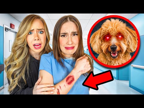 MY POSSESSED DOG BIT MY BEST FRIEND…
