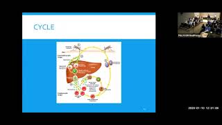 Fever in the returning traveler by Dr  Kojic