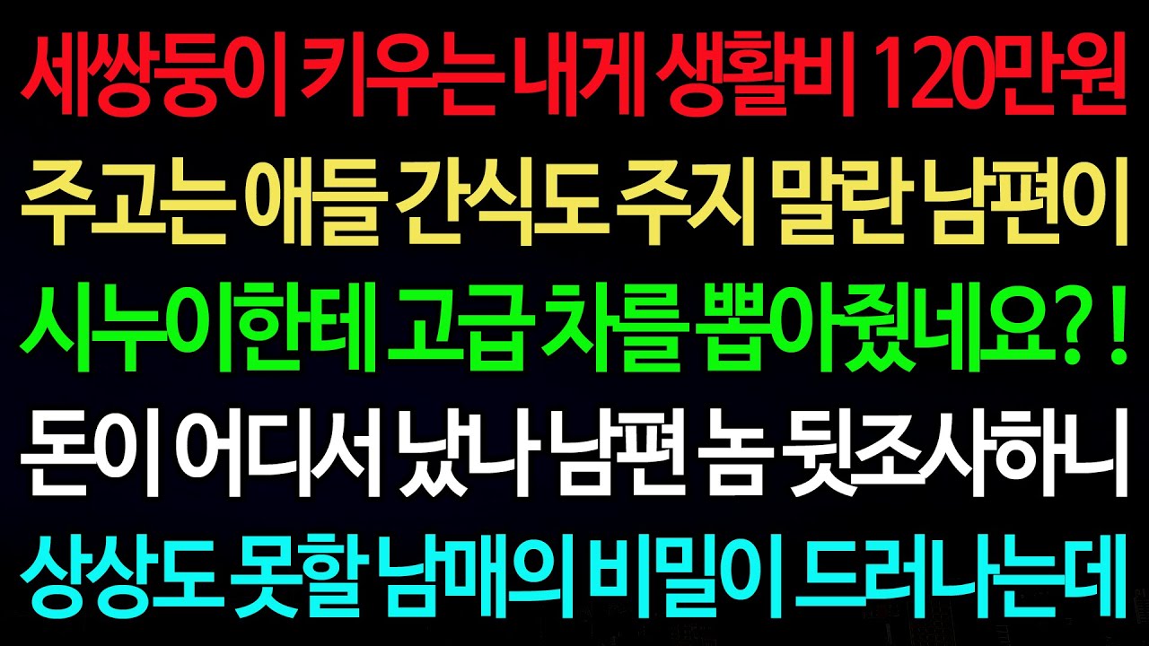 실화사연-세쌍둥이 키우는 내게 생활비 120만원 주고는 애들 간식도 주지 말란 남편이 시누이한테 고급 차를 뽑아줬네요?! /실화사연/신청사연/사이다썰/반전사연/사연라디오