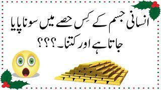 Urdu paheliyan || Hindi Riddles || Paheliyan in Urdu &Hindi || KP Riddles # 20 ||