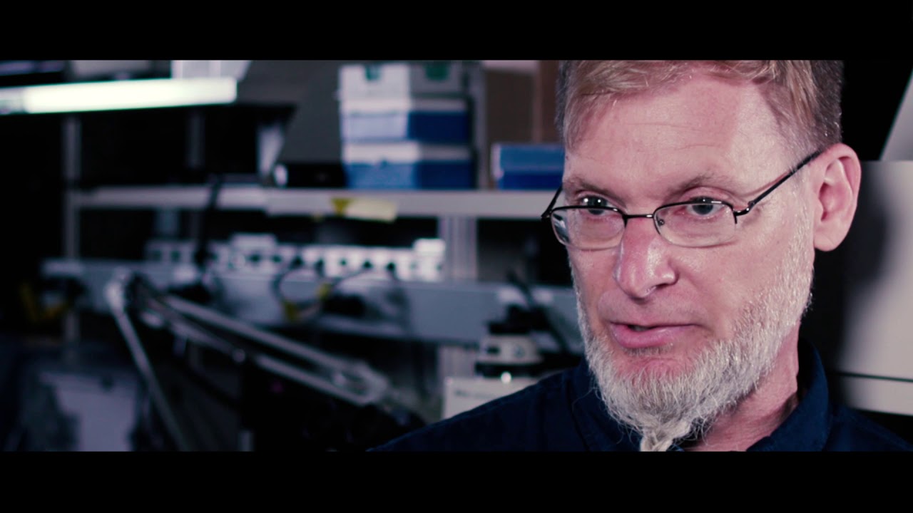 TIP 2019: Radiation Decontamination Visualizer