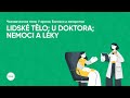 Занятие по грамматике, тема: «Lidské tělo; U doktora; Nemoci a léky»