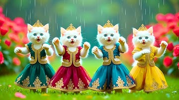 बिल्ली डांस | Cutest Cat videos funny dance🤣💃Dance Videos for cats #funny #dancingcat #cat #cute
