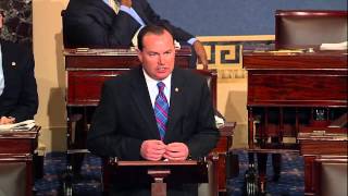 Defending the Voice of the People by Empowering Senators to Offer Amendments